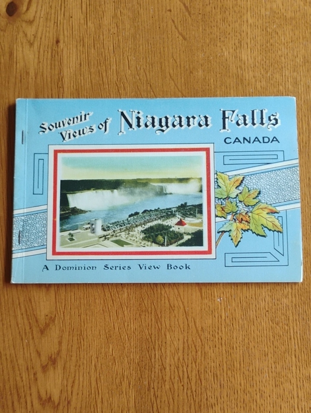 Vintage Souvenir Views of Niagara Falls Canada A Dominion Series View Book